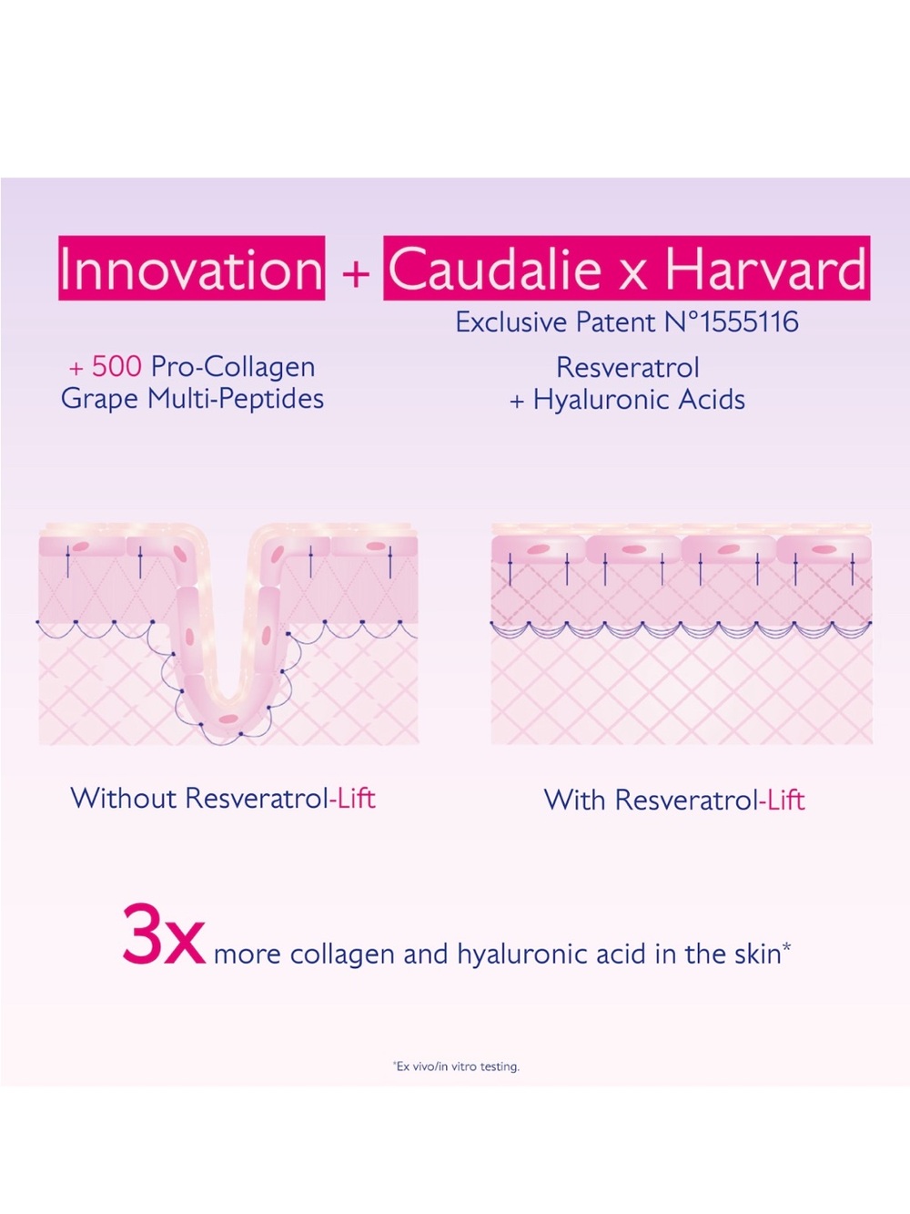CAUDALÍE 3-PC BEST-SELLING SKINCARE MINIS - Picture 11 of 11